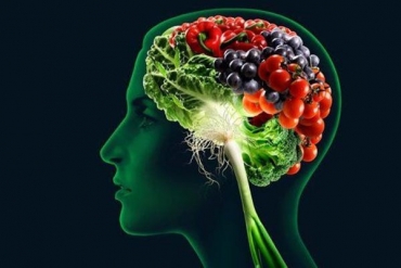 Деятельность мозга и питание