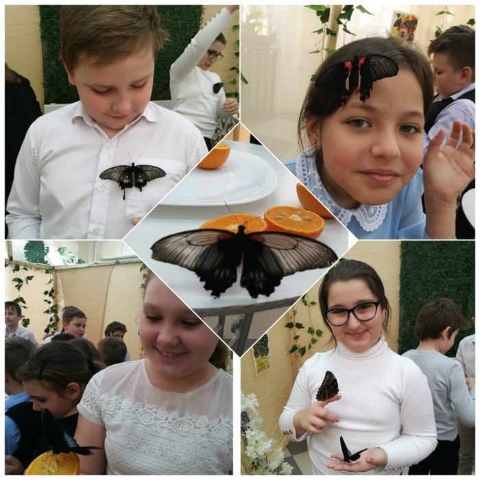 14 марта Учащиеся 4 Г класса совместно с классным руководителем Боковой Н.В. посетили уникальную выставку &quot;Сад тропических бабочек&quot;,